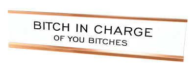 Bitch In Charge of You Bitches Desk Sign