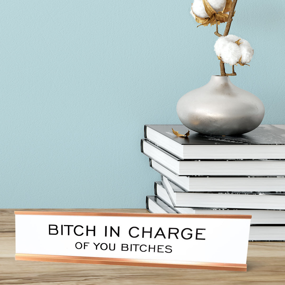 Bitch In Charge of You Bitches Desk Sign