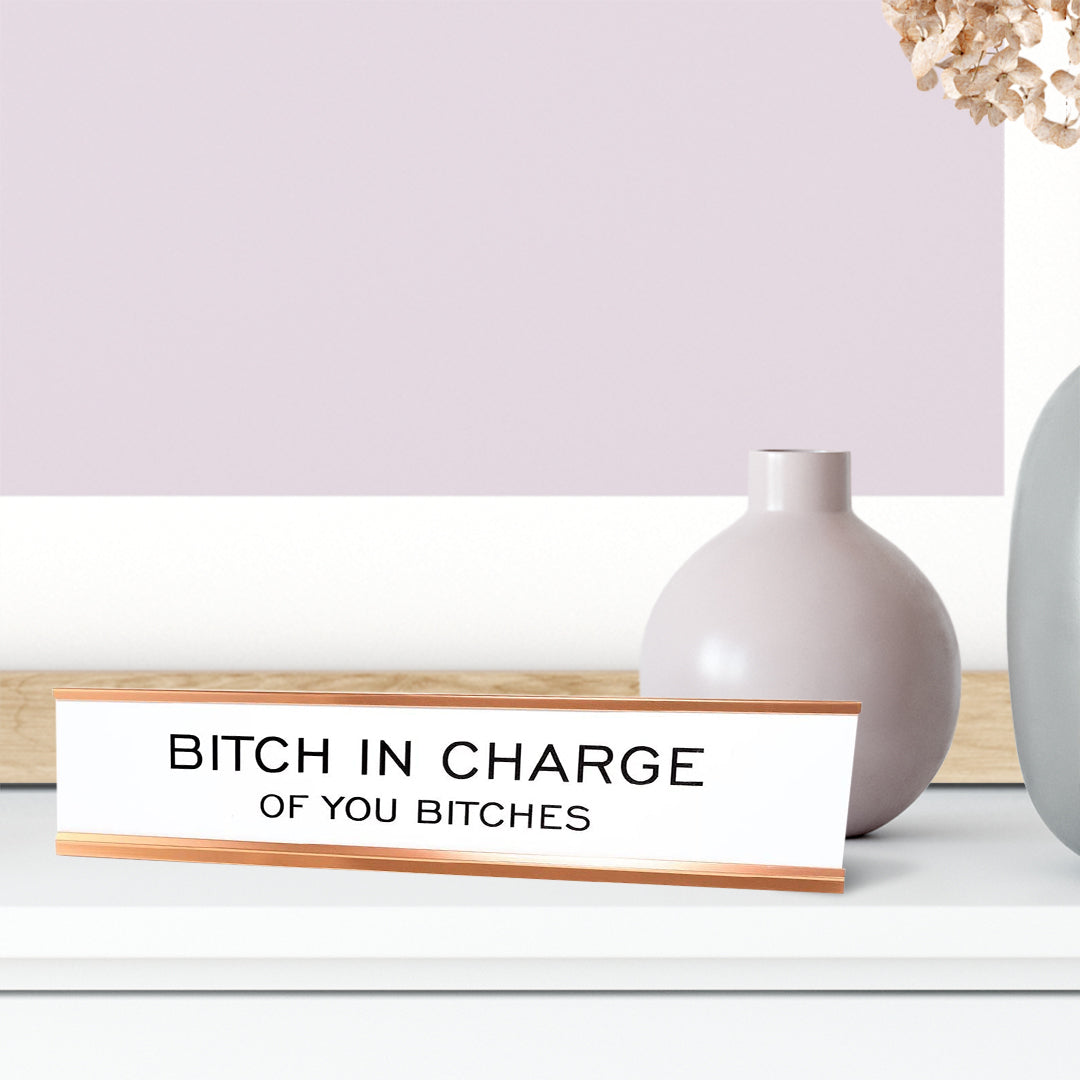 Bitch In Charge of You Bitches Desk Sign