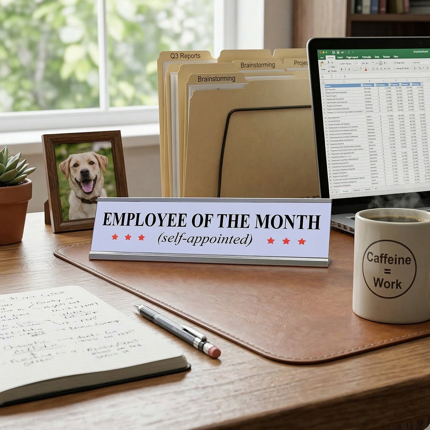 Self-Appointed Employee of the Month Desk Sign (2" x 8") – Funny Office Desk Decor – Novelty Workplace Nameplate