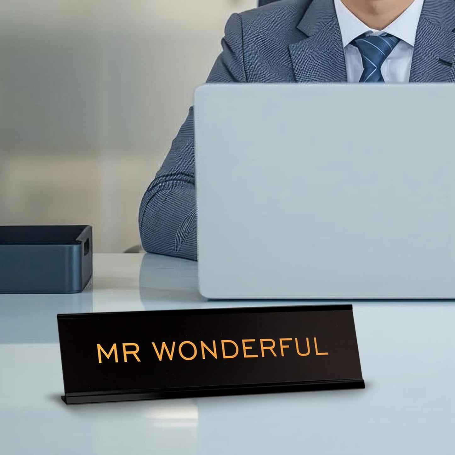 Mr Wonderful 2"x8" Novelty Nameplate Desk Sign
