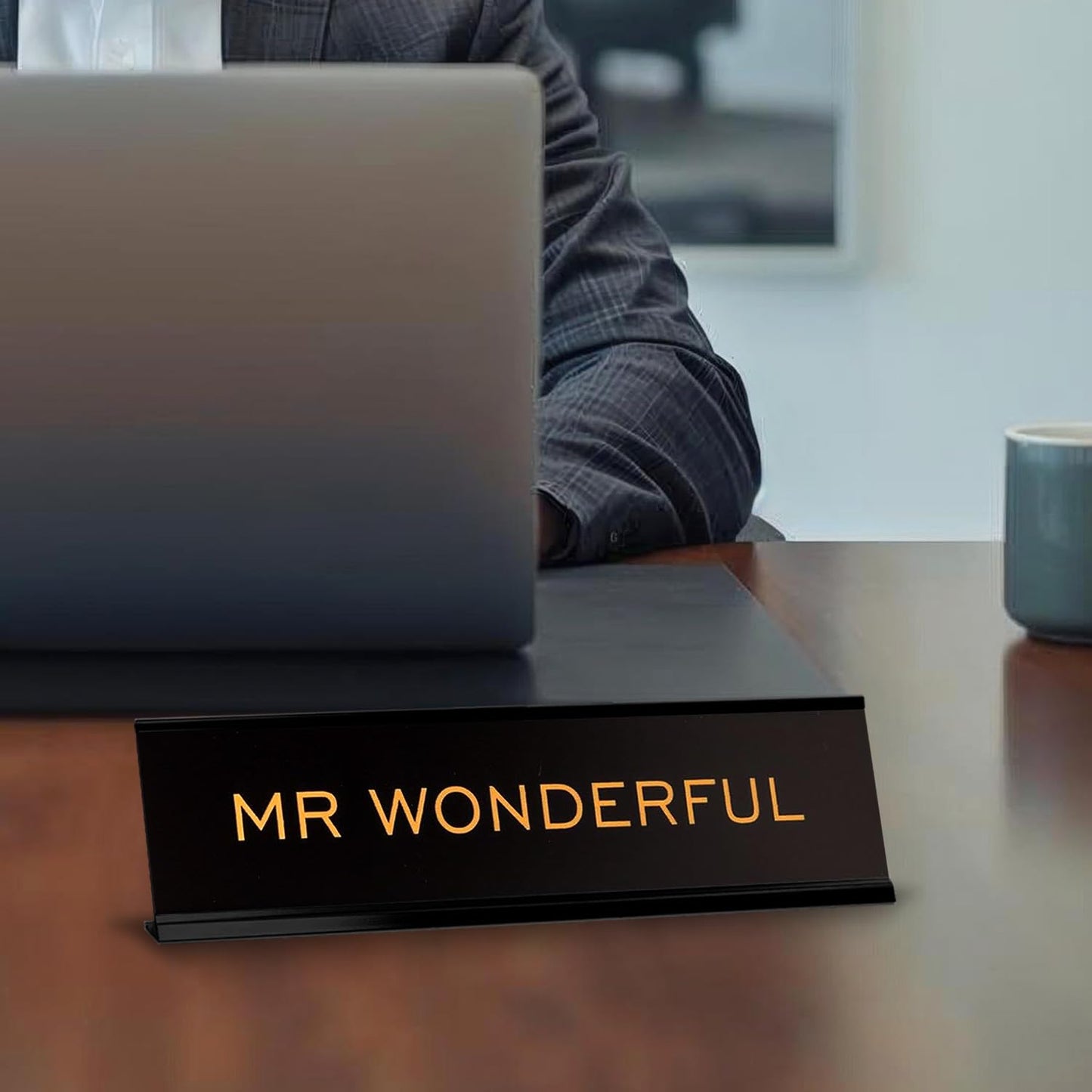 Mr Wonderful 2"x8" Novelty Nameplate Desk Sign